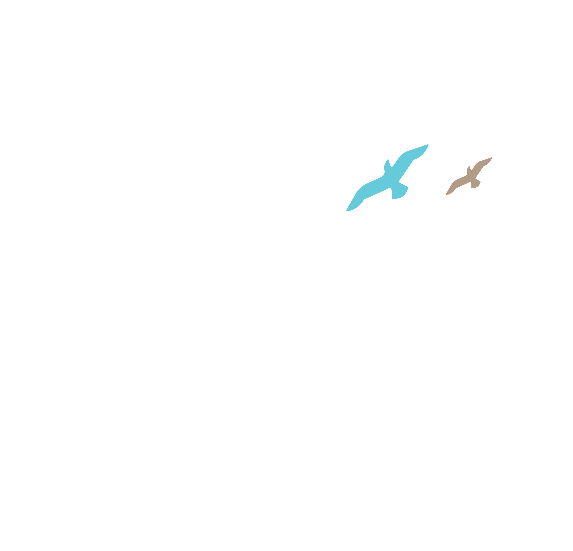 Soul Analysis